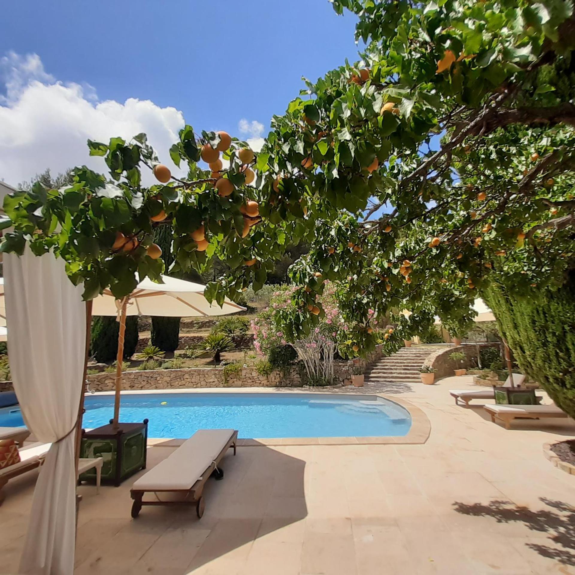 Bed and Breakfast Mas Lei Bancau Le Beausset Esterno foto